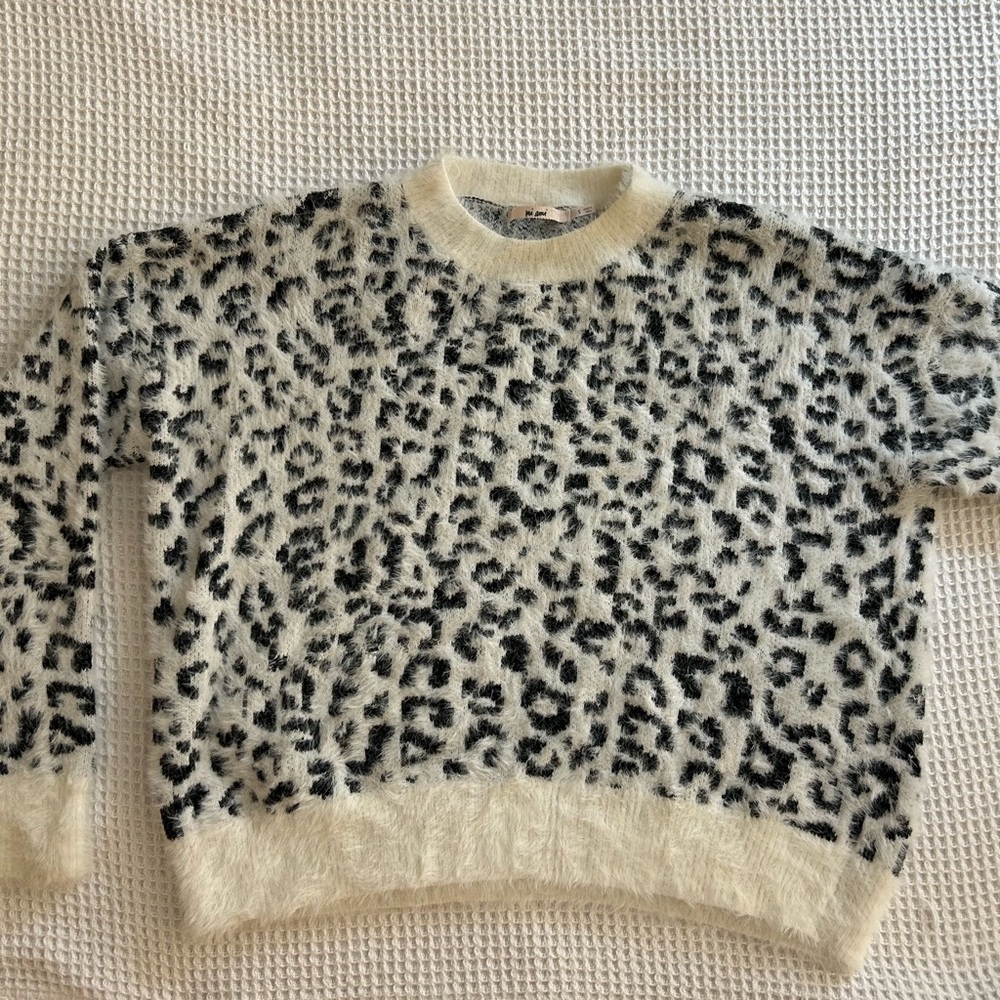 Francesca's Leopard Print Sweater